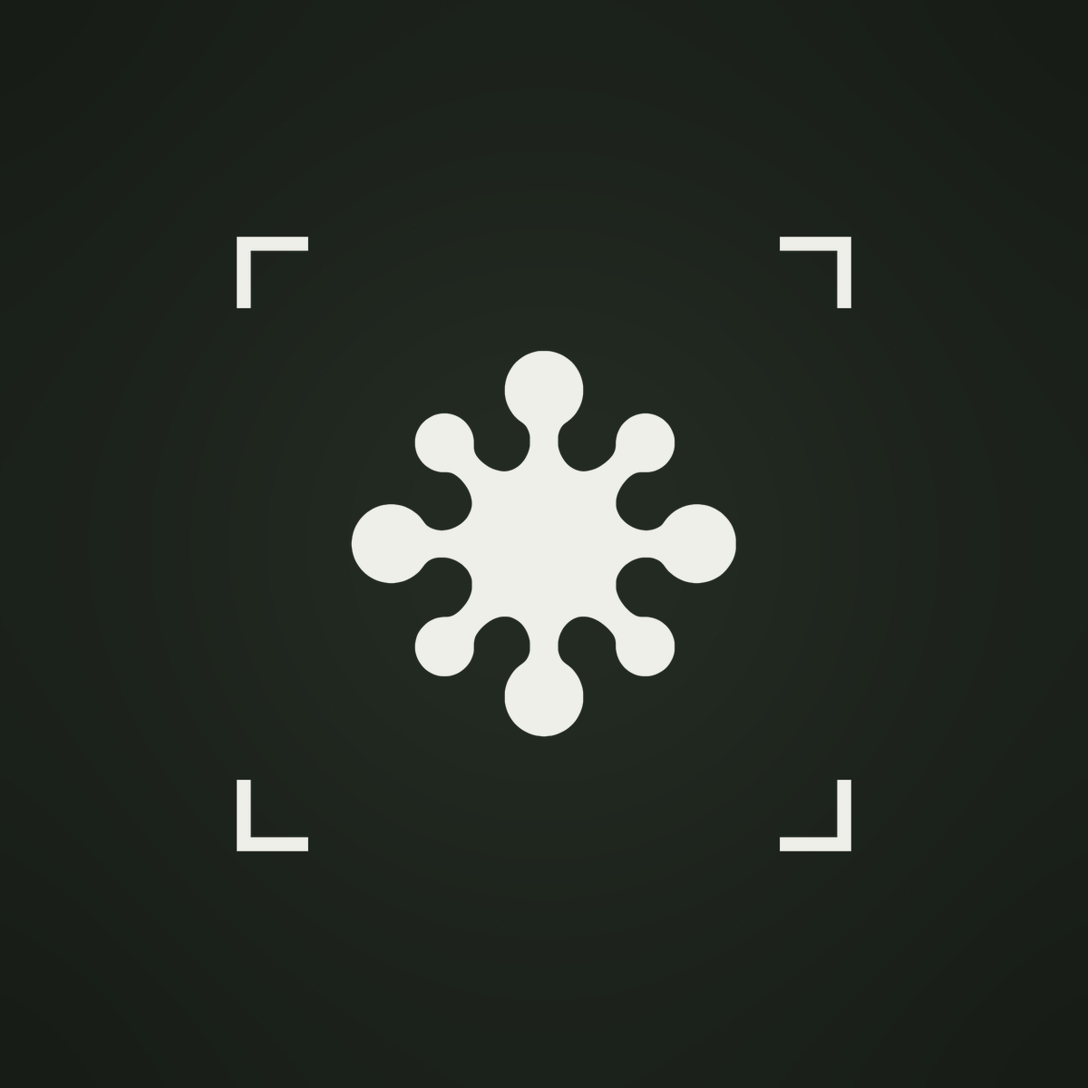 CHECK FOLLOWS INSANE logo